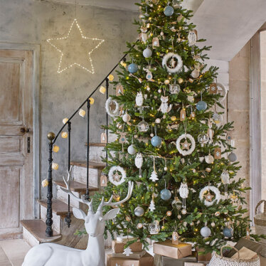 Comment bien choisir un sapin de Noël ?