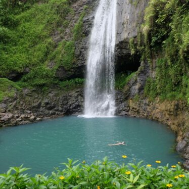 Journée dans la vallée de Papeno’o et dégustation de poisson cru à la tahitienne