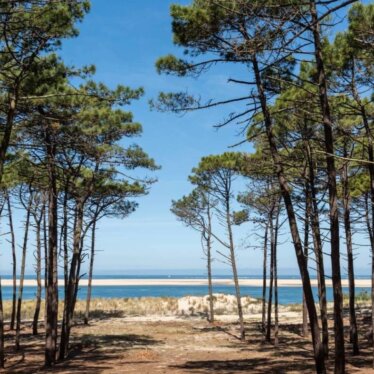 Partez en vacances dans les Landes