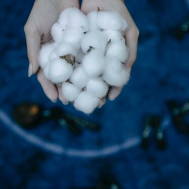 Le t-shirt en coton biologique : confortable et écoresponsable à la fois